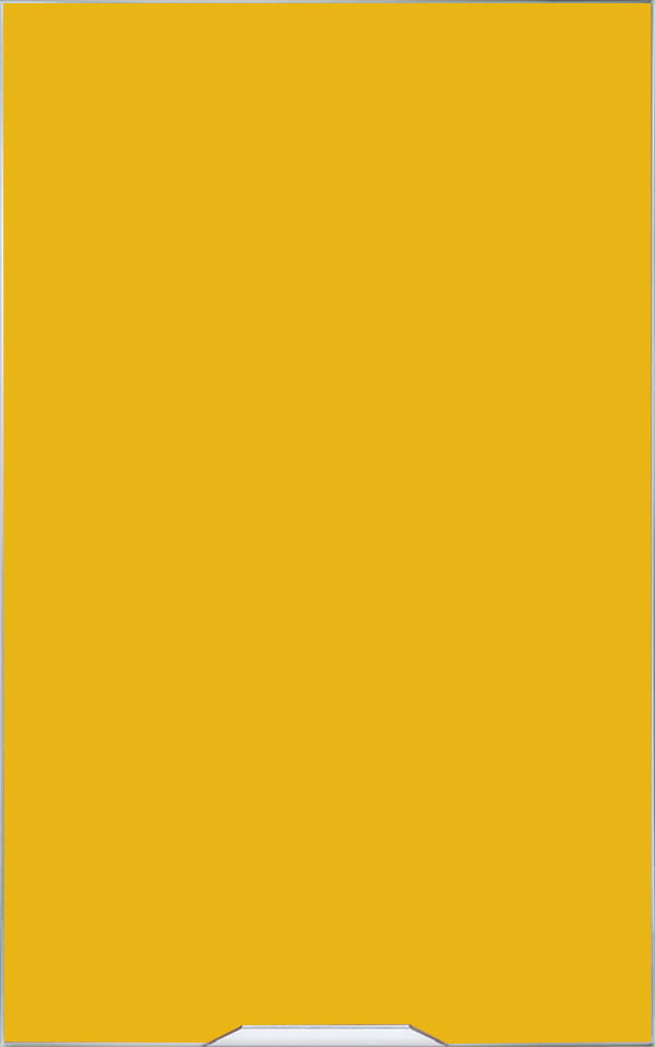 Amber Yellow